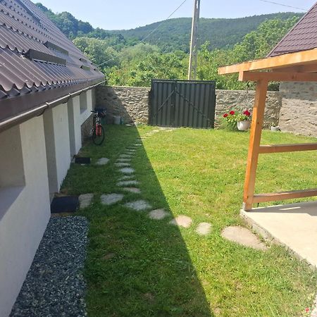 Casa Noua Villa Sasca Montană Exteriör bild