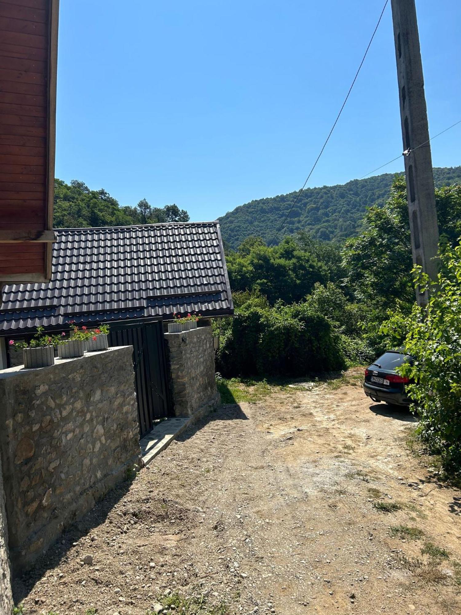 Casa Noua Villa Sasca Montană Exteriör bild